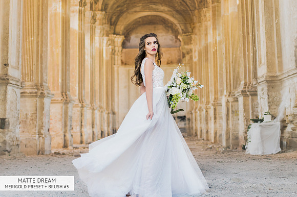 Luxe Wedding Lightroom Presets in Photoshop Plugins - product preview 25