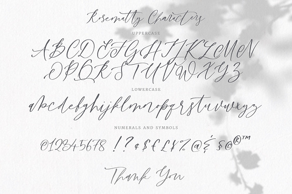 Rosematty Font in Script Fonts - product preview 4