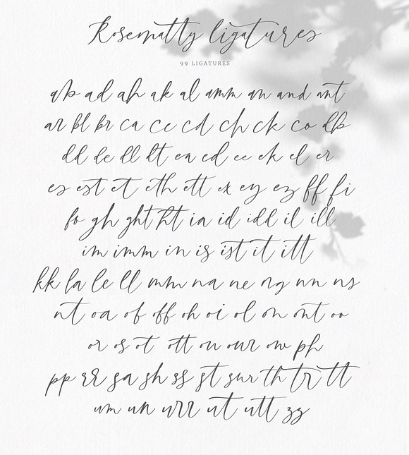 Rosematty Font in Script Fonts - product preview 7