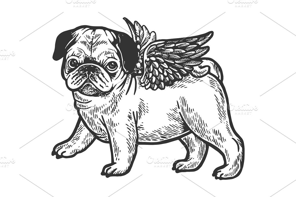 Angel flying pug puppy engraving in Illustrations - product preview 8