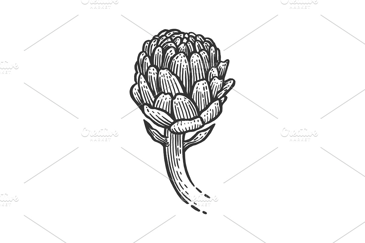 Artichoke sketch engraving vector in Illustrations - product preview 8