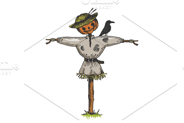 Scarecrow color sketch engraving