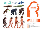 Darwin Evolution Theory