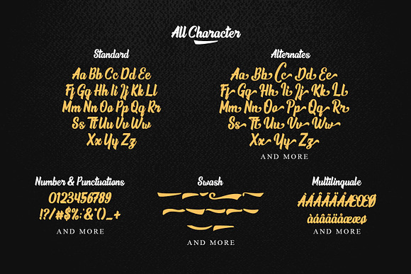 Phamelo - Bold Script in Script Fonts - product preview 6