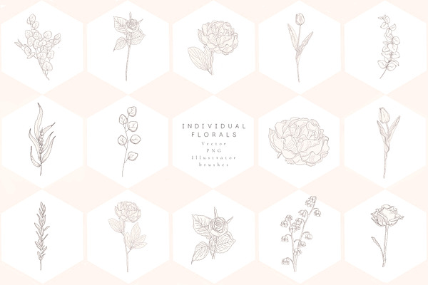 Floral Graphics, Logos, Patterns
