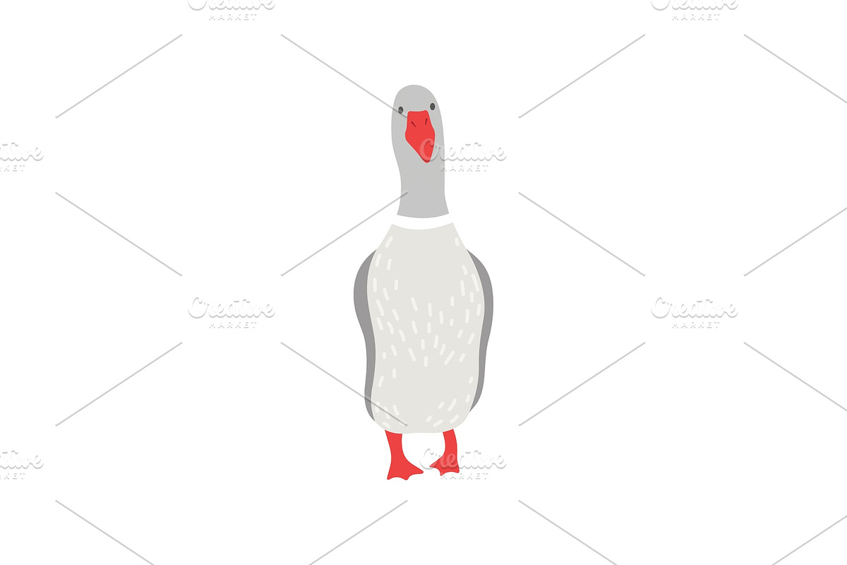 Cute White Goose Cartoon Character in Illustrations - product preview 8