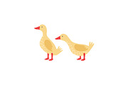 Two Cute Yellow Goslings Cartoon