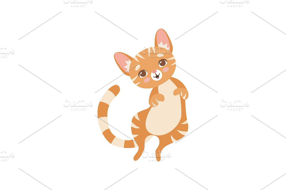 Cute Striped Funny Red Cat, Kitten in Illustrations - product preview 8