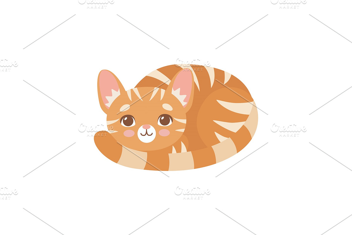 Striped Funny Red Cat Lying Curled in Illustrations - product preview 8