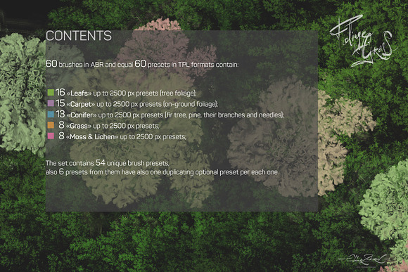 60 Photoshop Foliage & Grass brushes in Photoshop Brushes - product preview 5