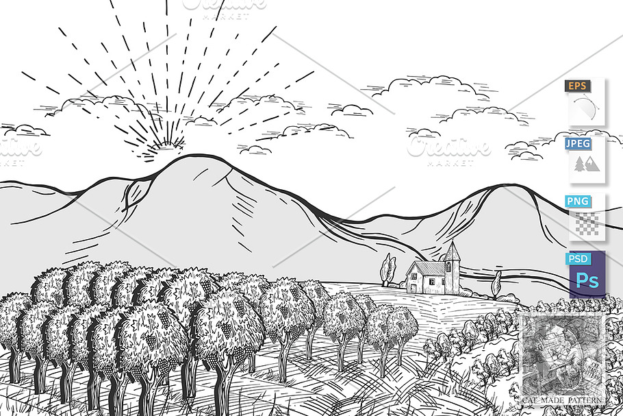 Vineyard landscape one sunny day in Illustrations - product preview 8