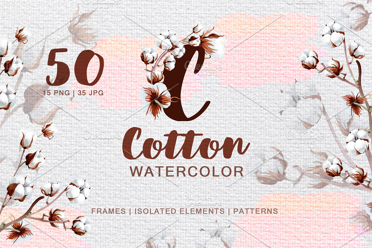  Cotton Watercolor png in Illustrations - product preview 8