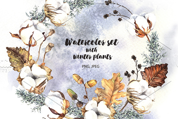 Watercolor set with winter plants 