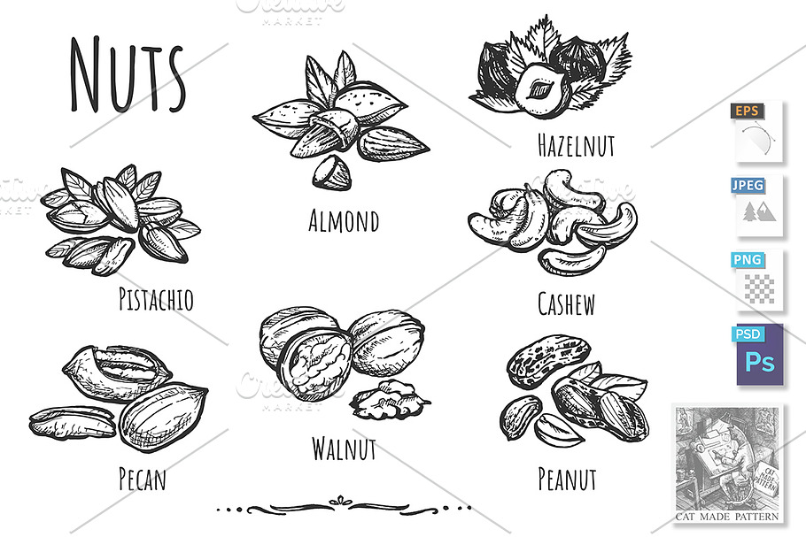 Various kinds of nuts in Illustrations - product preview 8