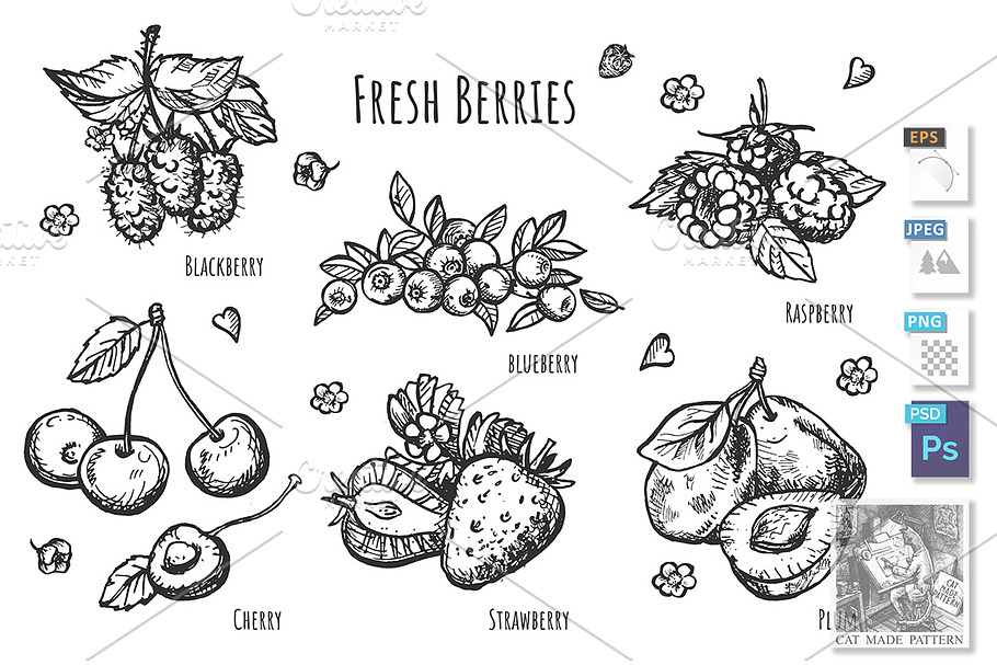 Set of monochrome berries in Illustrations - product preview 8