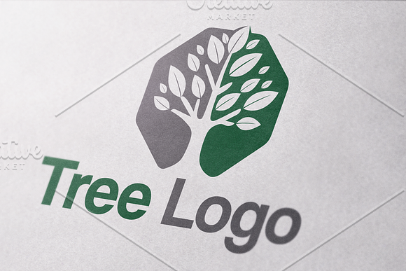 Tree Octagon Logo in Logo Templates - product preview 1