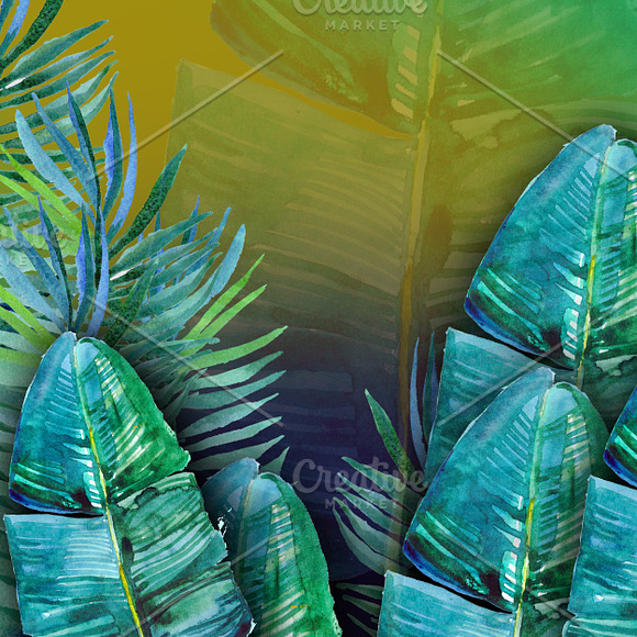 watercolor tropical background in Illustrations - product preview 1