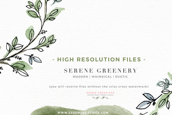 Serene Greenery Watercolor Clipart in Illustrations - product preview 5