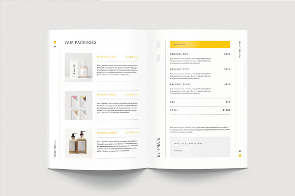 Proposal Template in Brochure Templates - product preview 9