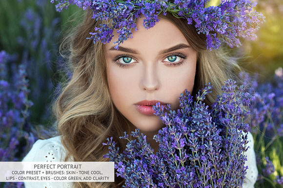 Perfect Portrait Lightroom Brushes in Photoshop Plugins - product preview 2