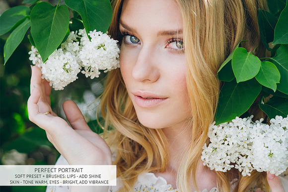 Perfect Portrait Lightroom Brushes in Photoshop Plugins - product preview 4