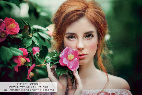 Perfect Portrait Lightroom Brushes in Photoshop Plugins - product preview 6
