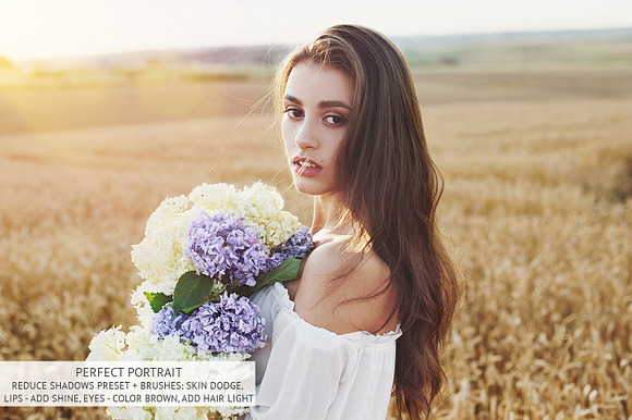 Perfect Portrait Lightroom Brushes in Photoshop Plugins - product preview 19