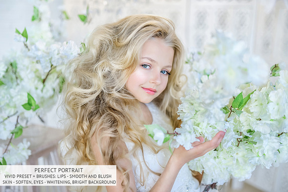Perfect Portrait Lightroom Brushes in Photoshop Plugins - product preview 20