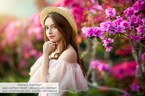 Perfect Portrait Lightroom Brushes in Photoshop Plugins - product preview 22