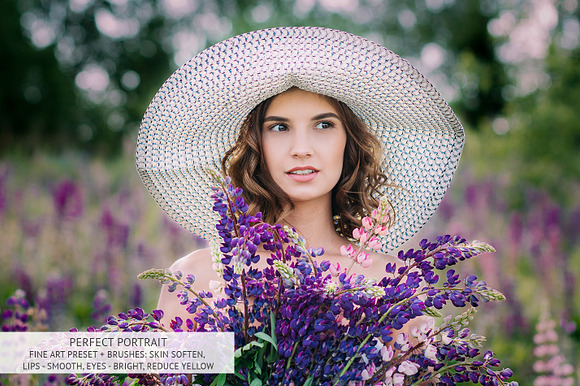 Perfect Portrait Lightroom Brushes in Photoshop Plugins - product preview 28