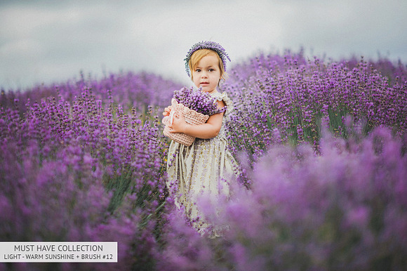 Lr Presets - Must-Have Collection in Photoshop Plugins - product preview 21