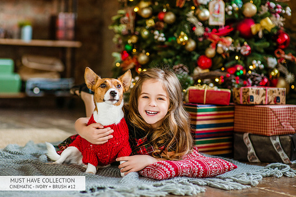 Lr Presets - Must-Have Collection in Photoshop Plugins - product preview 31