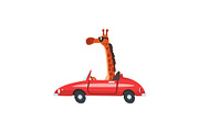 Giraffe Driving Red Car, Funny
