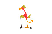Colorful Bird Riding Kick Scooter