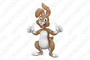Easter Bunny Rabbit Cartoon Giving