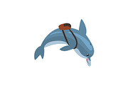 Dolphin Swimming with Backpack