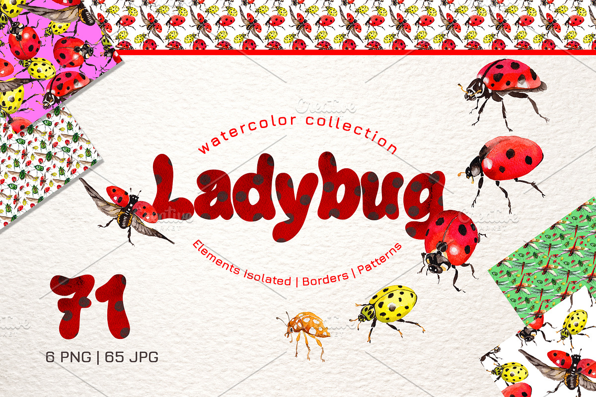Ladybug Watercolor png in Illustrations - product preview 8