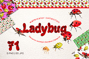 Ladybug Watercolor png