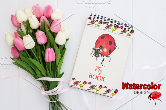 Ladybug Watercolor png in Illustrations - product preview 1