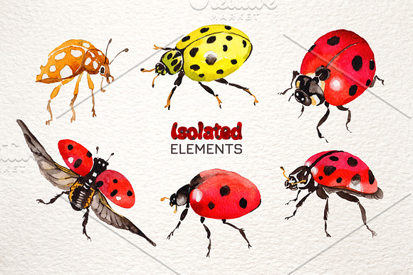 Ladybug Watercolor png in Illustrations - product preview 5