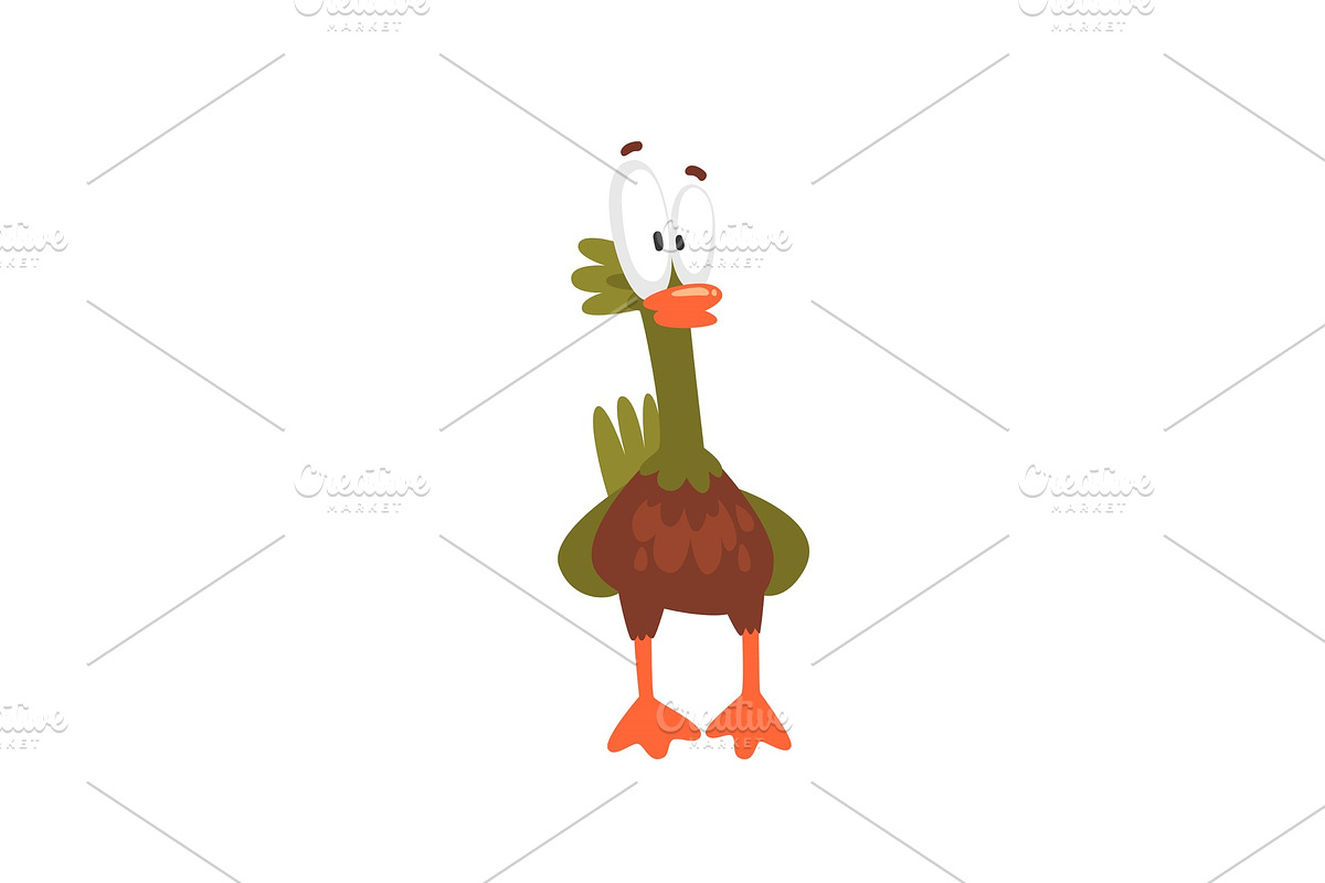Crazy Open Eyed Male Mallard Duck in Illustrations - product preview 8