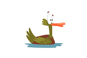 Crazy Male Mallard Duck Swimming