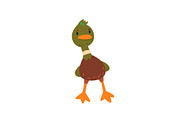 Male Mallard Duck, Cute Funny