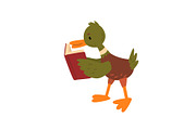 Cute Male Mallard Duck Reading Book