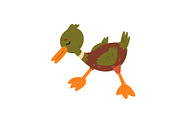 Cute Funny Male Mallard Duckling