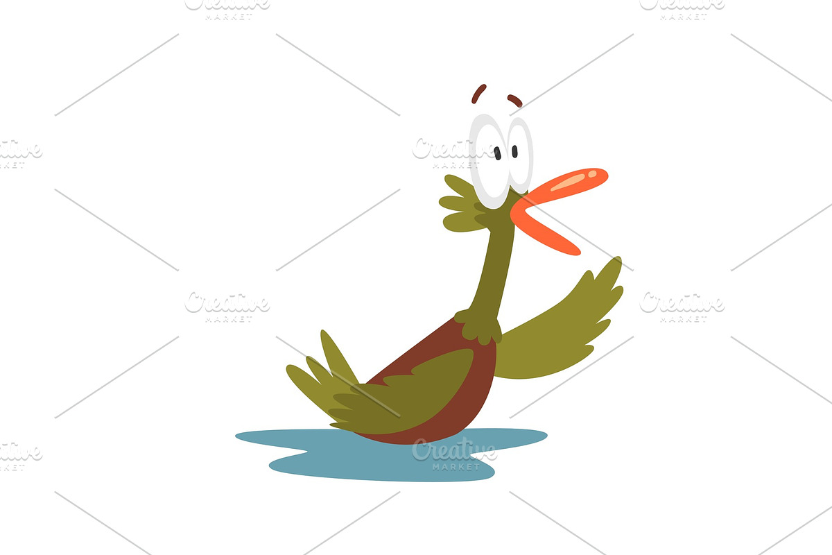 Surprised Open Eyed Male Mallard in Illustrations - product preview 8