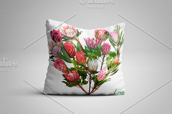 Protea flowers. Awesome blossom. in Illustrations - product preview 13