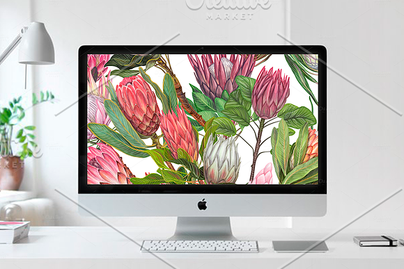 Protea flowers. Awesome blossom. in Illustrations - product preview 15
