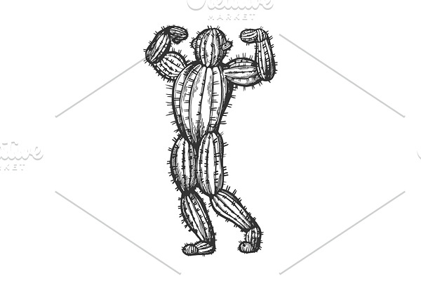 Cactus man posing sketch vector