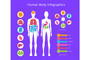 Human Body Infographic on Vector